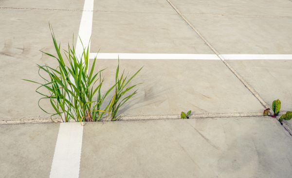 Concrete Parking Installation in Crossville